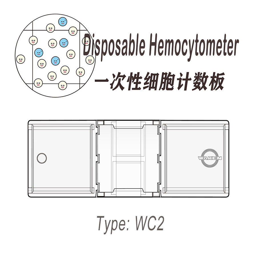 進口WC2一次性細胞計數(shù)板